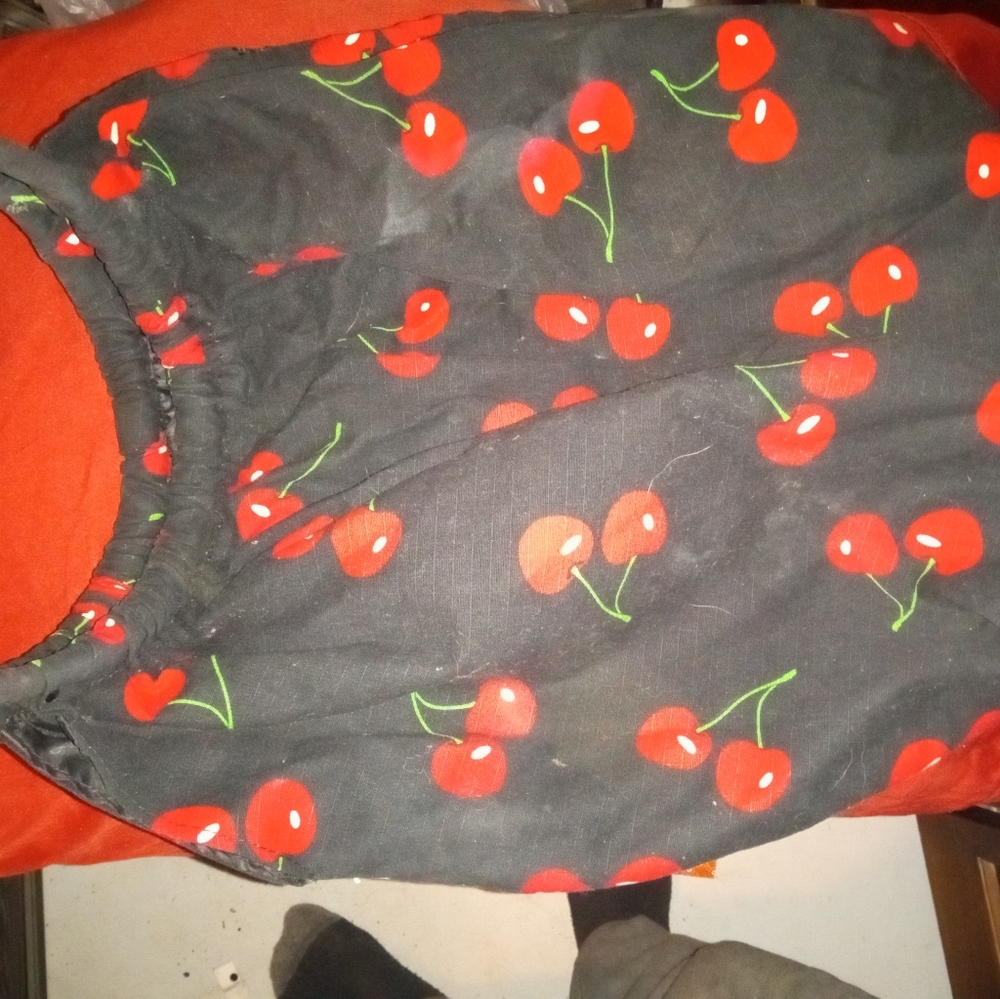 Cherry's bag